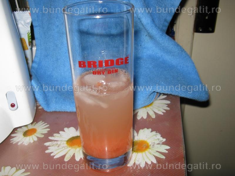 Gin cu grepfruit