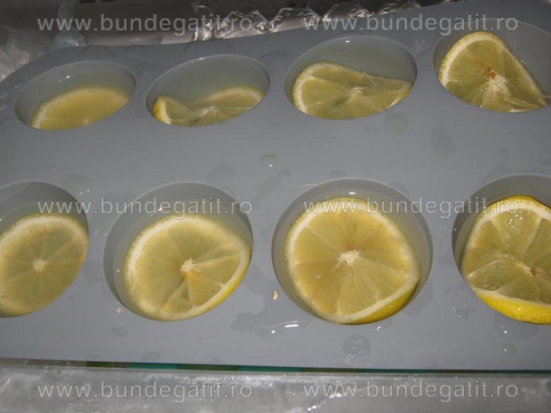 Lamai congelate in gheata
