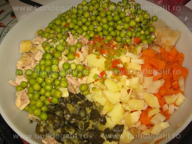 Salata de legume si carne,picanta