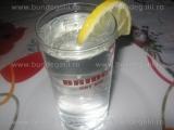Gin Fizz