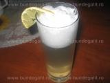 Gin Silver Fizz