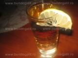 Gin Diamond Fizz