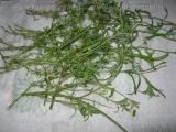 Zahar aromat cu lavanda proaspata