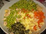Salata de legume si carne,picanta